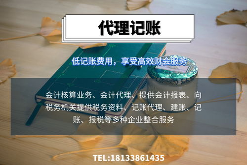 三河公司記賬代理好嗎專(zhuān)業(yè)專(zhuān)注